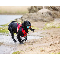 
              ChuckIt! Amphibious Fetch Balls, Set of 3
            