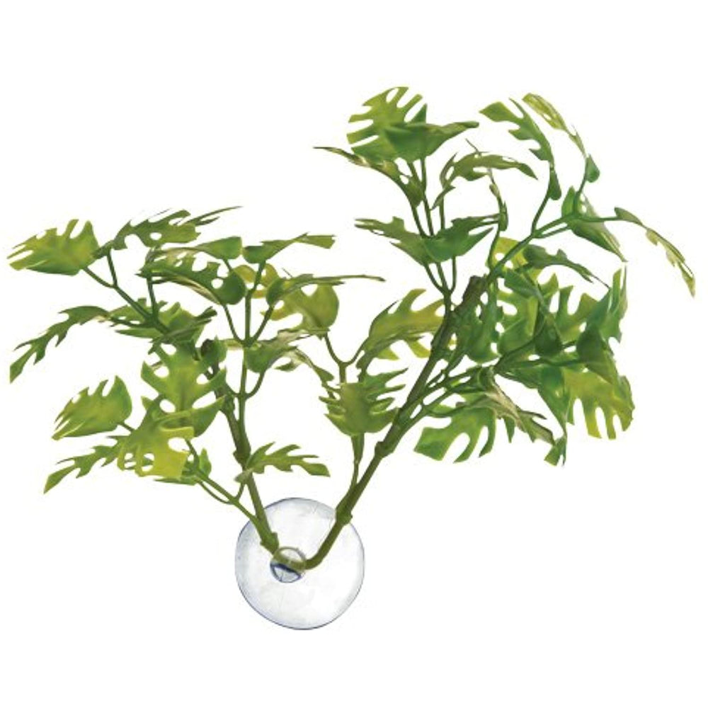 Zoo Med Betta Plant, Realistic Looking Window Leaf Plant for Fish Tanks