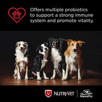 Nutri-Vet Probiotic Capsules for Dogs | Digestive Health Support Dog Probiotics | Give Directly or Sprinkle on Food | 60 Capsules