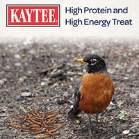 
              Kaytee 100508146 Mealworm Food Pouch, 17.6 Ounce, None
            