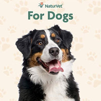 
              NaturVet  Advanced Probiotics & Enzymes - Plus Vet Strength PB6 Probiotic | Supports and Balances Pets with Sensitive Stomachs & Digestive Issues | For Dogs & Cats | 70 Soft Chews
            