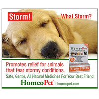 
              HomeoPet Pro Storm Stress for Dogs 15 ml
            