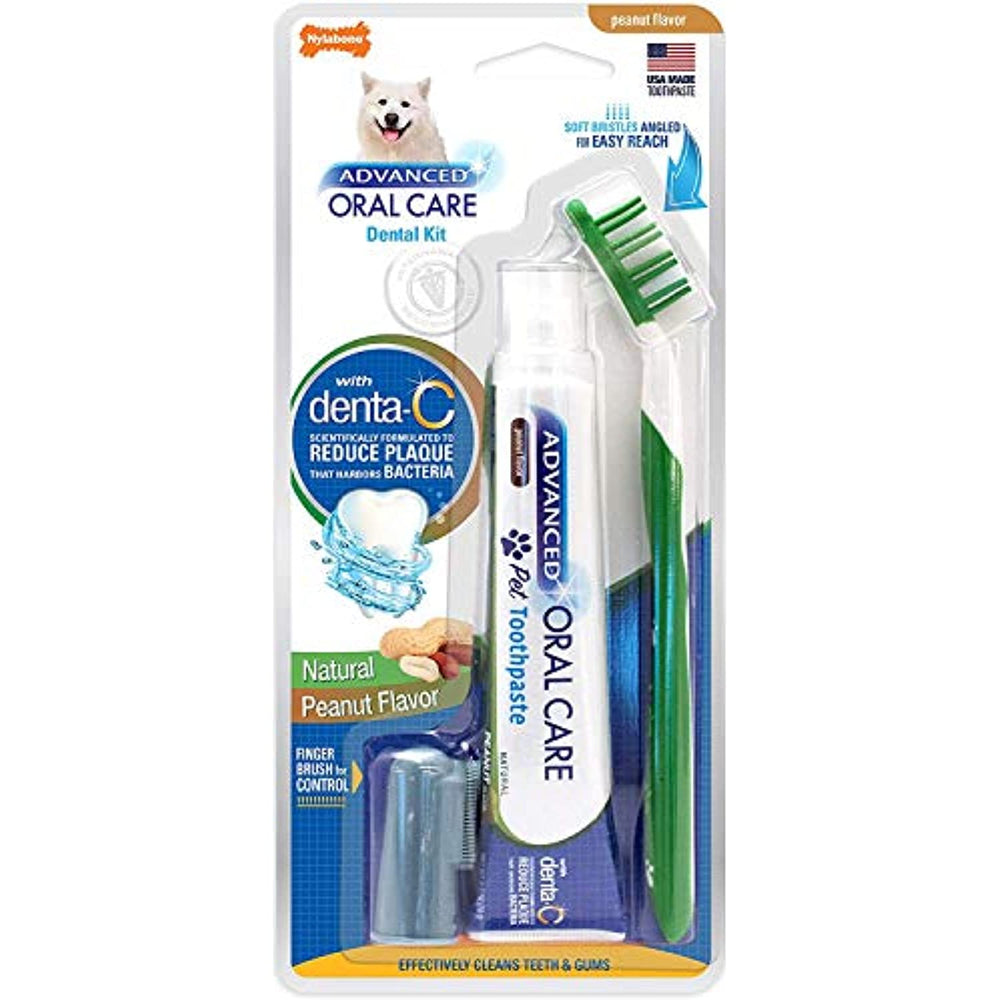 Nylabone Advanced Oral Care Natural Dog Dental Kit Peanut Flavor 2.5 oz.