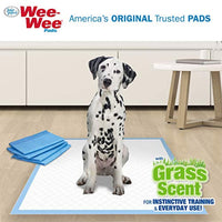 Four Paws Wee-Wee Grass Scented Puppy Pads Grass Scented 100 Count