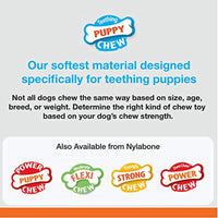 
              Nylabone Puppy Dental Dinosaur Chew Toy for Teething Puppies Chicken Flavor Small/Regular - Up to 25 lbs.
            