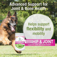 
              Four Paws Healthy Promise Advanced Formula Hip & Joint Supplement for Dogs Soft Chews 96 Count 20.22 oz.
            