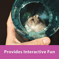 
              Kaytee Dwarf Hamster Mini Run-About Exercise Ball, Color May Vary
            