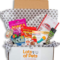 Lots of Pets Dog Party Box (Medium Dogs)