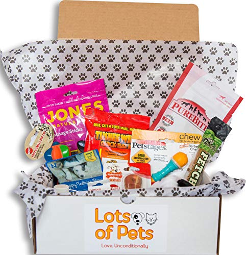 Lots of Pets Dog Party Box (Medium Dogs)