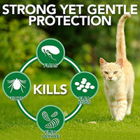 
              Vet's Best Flea and Tick Gentle-Mist Spray for Cats | Flea and Tick Spray with Certified Natural Oils | Gentle-Mist Spray for Easy Application and Control | 6.3 Ounces
            