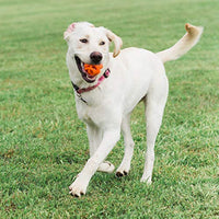 
              Chuckit! Air Fetch Ball, Medium, 2 Pack
            