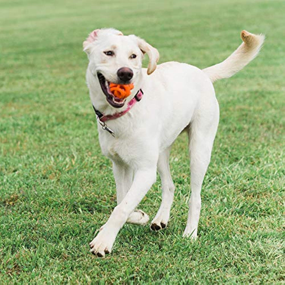 Chuckit! Air Fetch Ball, Medium, 2 Pack