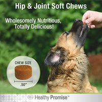 
              Four Paws Healthy Promise Hip & Joint Supplement for Dogs Soft Chews 72 Count 5.08 oz.
            