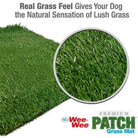 Four Paws Wee-Wee Premium Patch 22" x 23" Replacement Grass Mat for Dogs