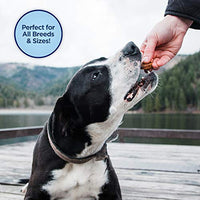 
              Natural Balance L.I.D. Limited Ingredient Diets Small Breed Dog Treats, Sweet Potato & Venison Formula, 8 Ounce Pouch, Grain Free
            