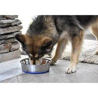 
              OurPets Premium DuraPet Dog Bowl 3qt
            