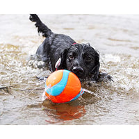 
              Chuckit! Amphibious Mega Ball or Roller That Floats for Medium and Large Dogs
            