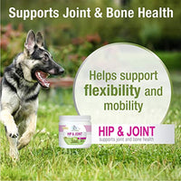 
              Four Paws Healthy Promise Hip & Joint Supplement for Dogs Soft Chews 72 Count 5.08 oz.
            