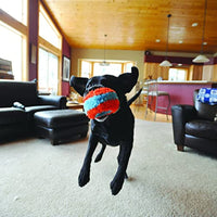 
              Chuckit! Canine Hardware Indoor Roller Dog Toy
            