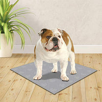 
              Four Paws Wee-Wee Premium Patch 22" x 23" Reusable Pee Pad for Dogs
            