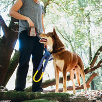 ZippyPaws - Portable Belt Adventure Dog Treat Bag - Desert Red