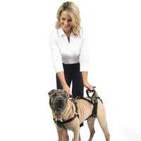 PetSafe CareLift Support Harness - Full Body Lifting Aid with Handle & Shoulder Strap - Great for Pet Mobility & Older Dogs to Help Them Up - Comfortable, Breathable Material - Easy to Adjust - Large