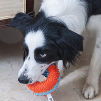 
              Chuckit! Canine Hardware Indoor Roller Dog Toy
            