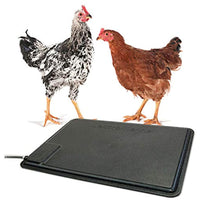 
              K&H Pet Products Thermo-Chicken Heated Pad Black 12.5" x 18.5" 40W
            