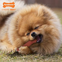
              Nylabone Power Chew Flavored Durable Chew Toy for Dogs Bacon Regular, Small/Regular - Up to 25 lbs. (NB102P)
            