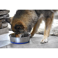 
              OurPets Premium DuraPet Dog Bowl 3qt
            