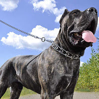 
              Coastal Pet Titan Dog Prong Training Collar Chrome Plated Fine 2.0mm x 14-inches Girth (1-Unit)
            