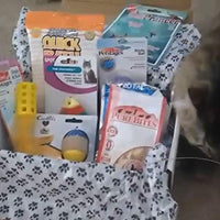 Lots of Pets Cat Scratch Fever Party Box Kitty Cat Party Box, Pet Supplies Starter Pack, Treats and Toys for Cats