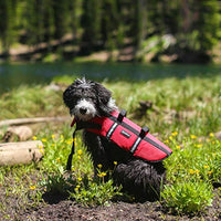 ZippyPaws - Adventure Life Jacket for Dogs - Extra Small- Red - 1 Life Jacket