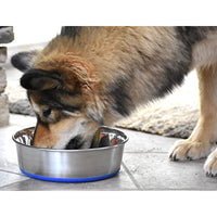 
              OurPets Premium DuraPet Dog Bowl 3qt
            