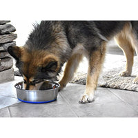 
              OurPets Premium DuraPet Dog Bowl 3qt
            