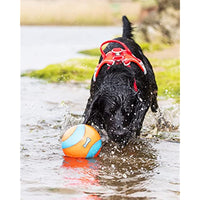 
              Chuckit! Amphibious Mega Ball or Roller That Floats for Medium and Large Dogs
            