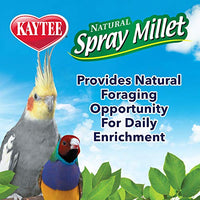 
              Kaytee Spray Millet For Birds, 6-Count
            