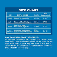 
              Four Paws Wee-Wee Disposable Dog Diapers 12 Count Small
            
