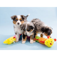
              ZippyPaws - Colorful Caterpillar Squeaky Stuffed Plush Dog Toy - Deluxe Squeakers
            