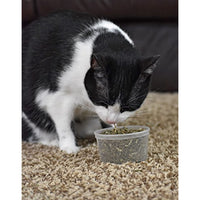 Our Pets Premium North-American Grown Catnip, 1/2-Ounce Cup (1050011697)