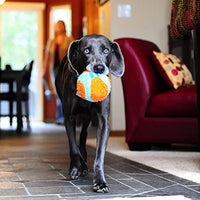 
              ChuckIt! Indoor Ball Dog Fetch Toy For Medium To Large Dogs, Orange/Blue One Size Only
            