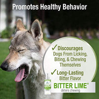 
              Four Paws Healthy Promise Bitter Lime Anti Chew Spray for Dogs and Cats Bitter Lime Flavor 8 Ounces
            