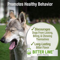 Four Paws Healthy Promise Bitter Lime Anti Chew Spray for Dogs and Cats Bitter Lime Flavor 8 Ounces