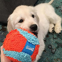 
              ChuckIt! Indoor Ball Dog Fetch Toy For Medium To Large Dogs, Orange/Blue One Size Only
            