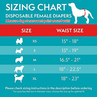 Simple Solution Disposable Dog Diapers for Female Dogs | Super Absorbent Leak-Proof Fit | Medium | 12 Count, White