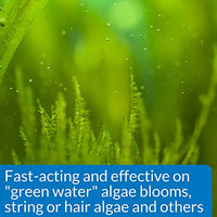 
              API ALGAEFIX Algae Control 1.25-Ounce Bottle, ALGAEFIX 1.25 OZ
            