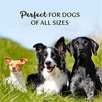 
              Exclusively Pet Jerkeez BBQ Chicken Flavor Dog Treat
            