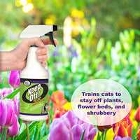 
              Keep Off! Repellent 16-Ounce Spray
            