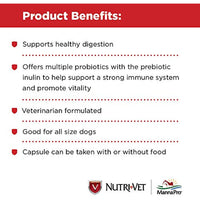 
              Nutri-Vet Probiotic Capsules for Dogs | Digestive Health Support Dog Probiotics | Give Directly or Sprinkle on Food | 60 Capsules
            