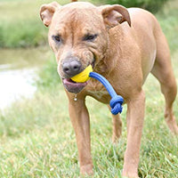 Our Pets Grrrassic Durable Toss Toy, Blue. Made in The USA